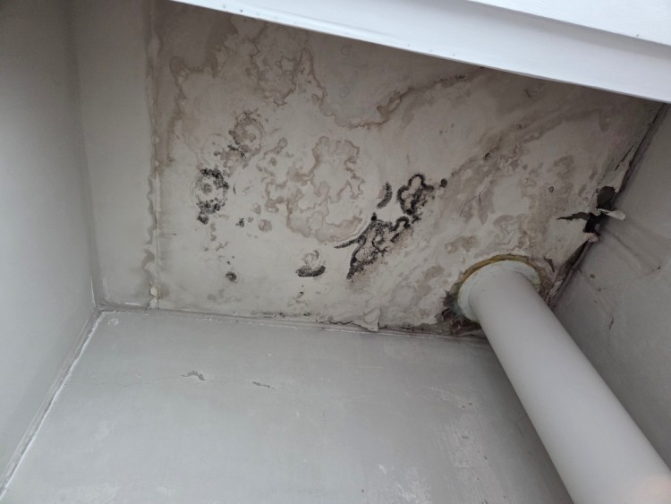 KakaoTalk_Photo_2025-10-17-22-30-18 011.jpeg