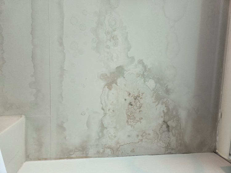 KakaoTalk_Photo_2025-10-17-22-30-18 010.jpeg