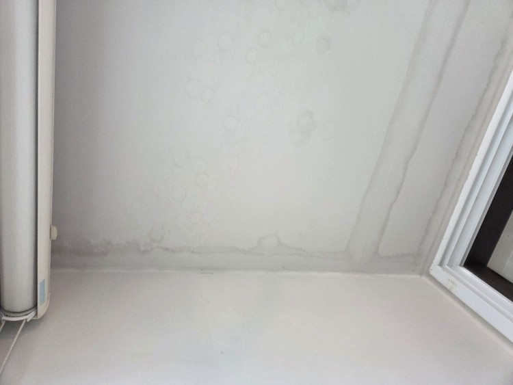 KakaoTalk_Photo_2025-10-17-22-30-18 009.jpeg