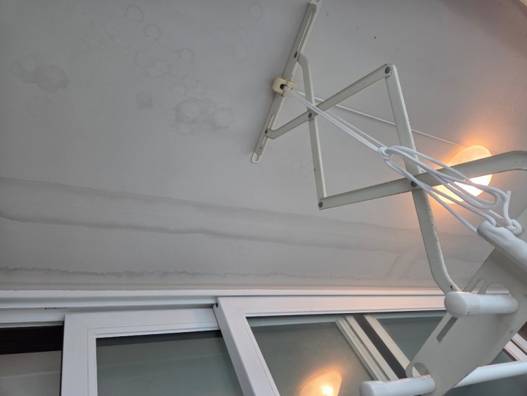 KakaoTalk_Photo_2025-10-17-22-30-18 008.jpeg