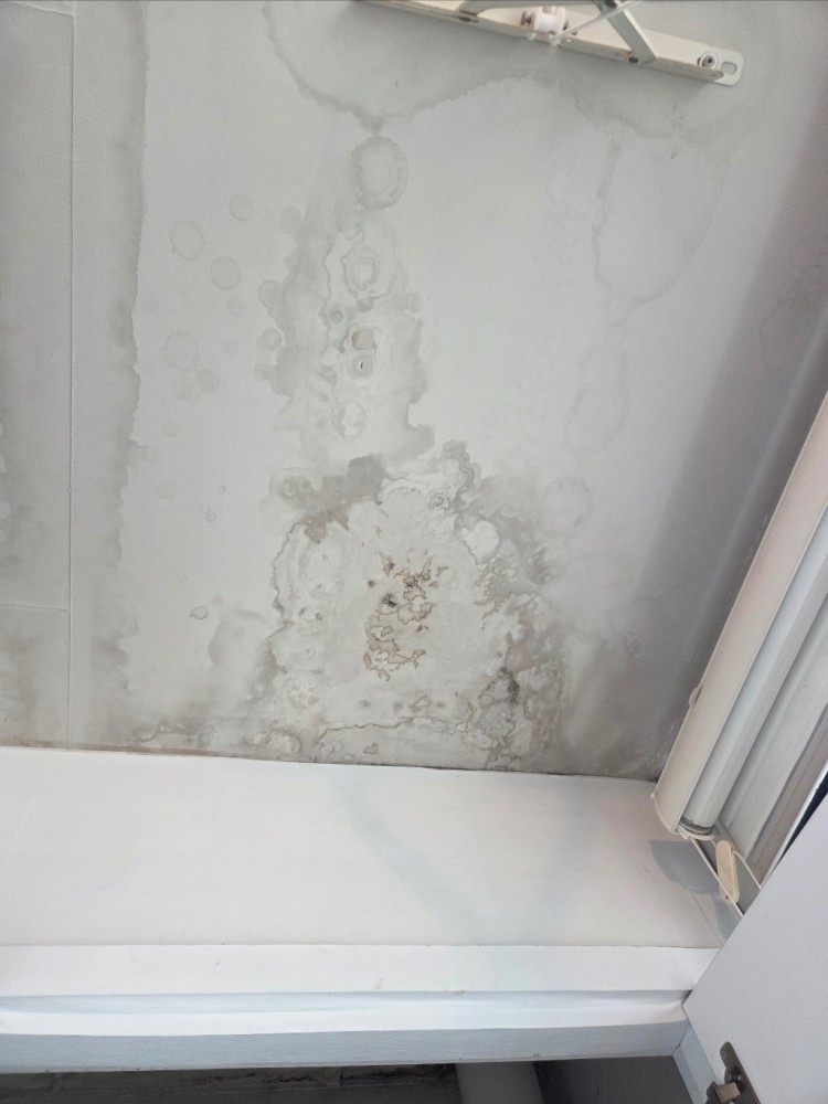 KakaoTalk_Photo_2025-10-17-22-30-18 007.jpeg