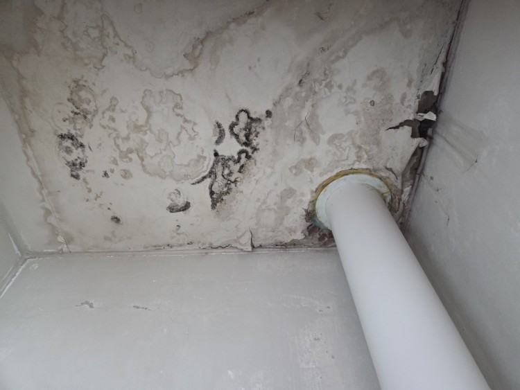 KakaoTalk_Photo_2025-10-17-22-30-18 005.jpeg