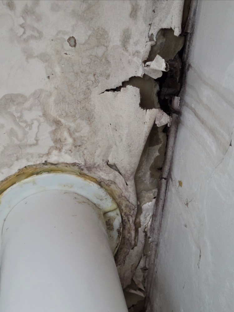 KakaoTalk_Photo_2025-10-17-22-30-18 003.jpeg