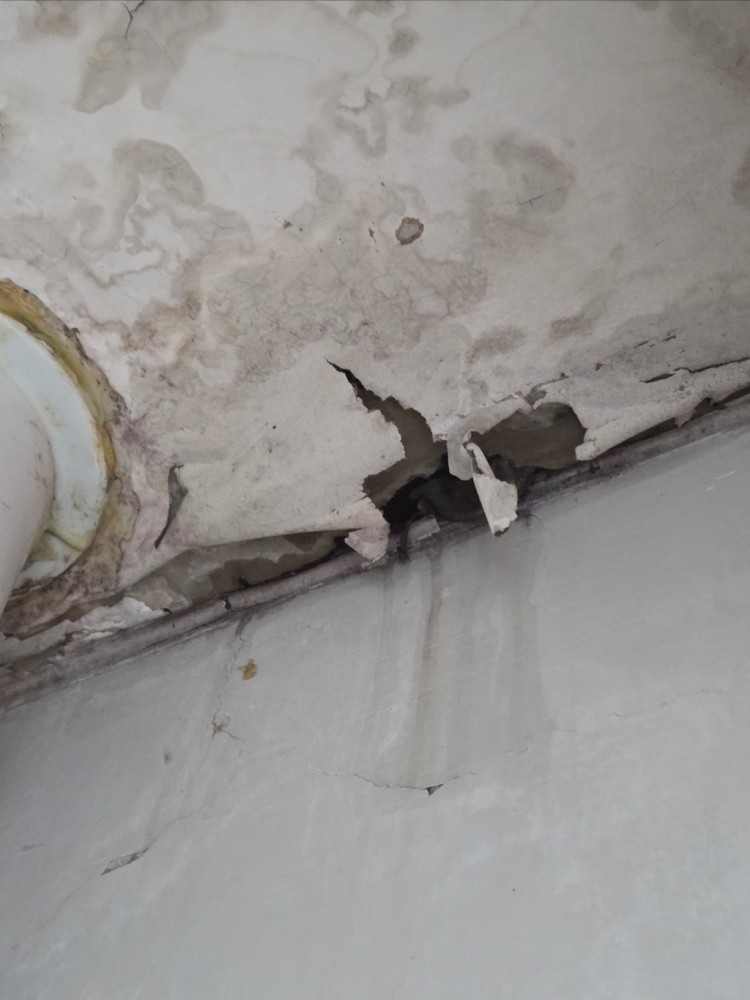 KakaoTalk_Photo_2025-10-17-22-30-18 001.jpeg