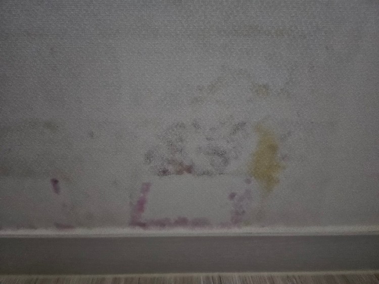 방쪽벽 8월(1).jpg