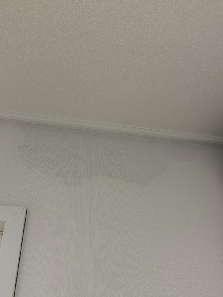 Weixin Image_20251130000256_91_1.jpg