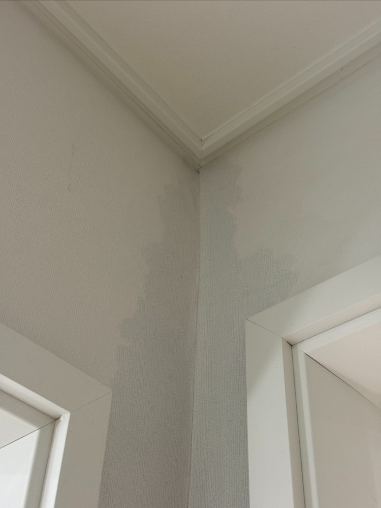 Weixin Image_20251130000254_90_1.jpg