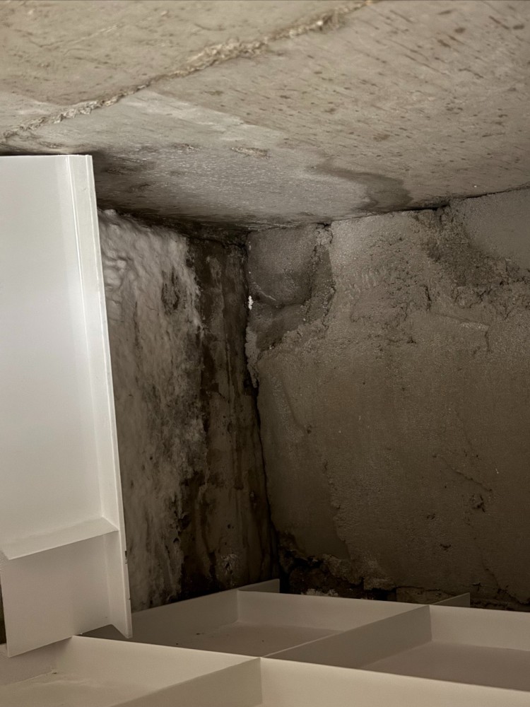 Weixin Image_20251130000252_89_1.jpg